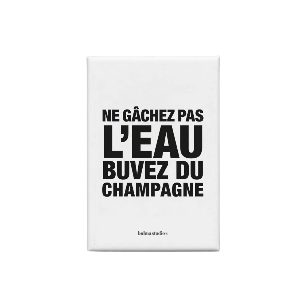 Bulma - Magnet Ecolo dans l'âme