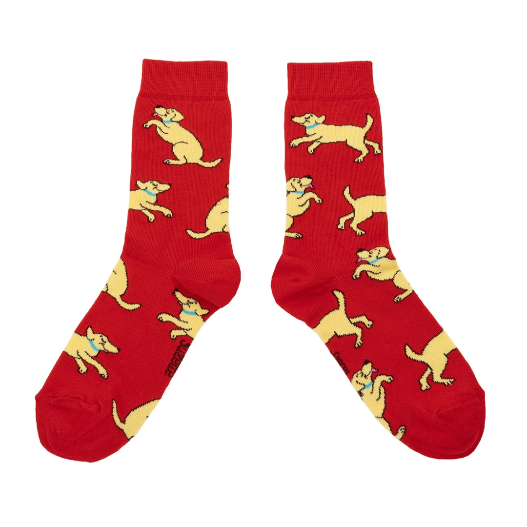Coucou Suzette - Chaussettes Golden Retriever