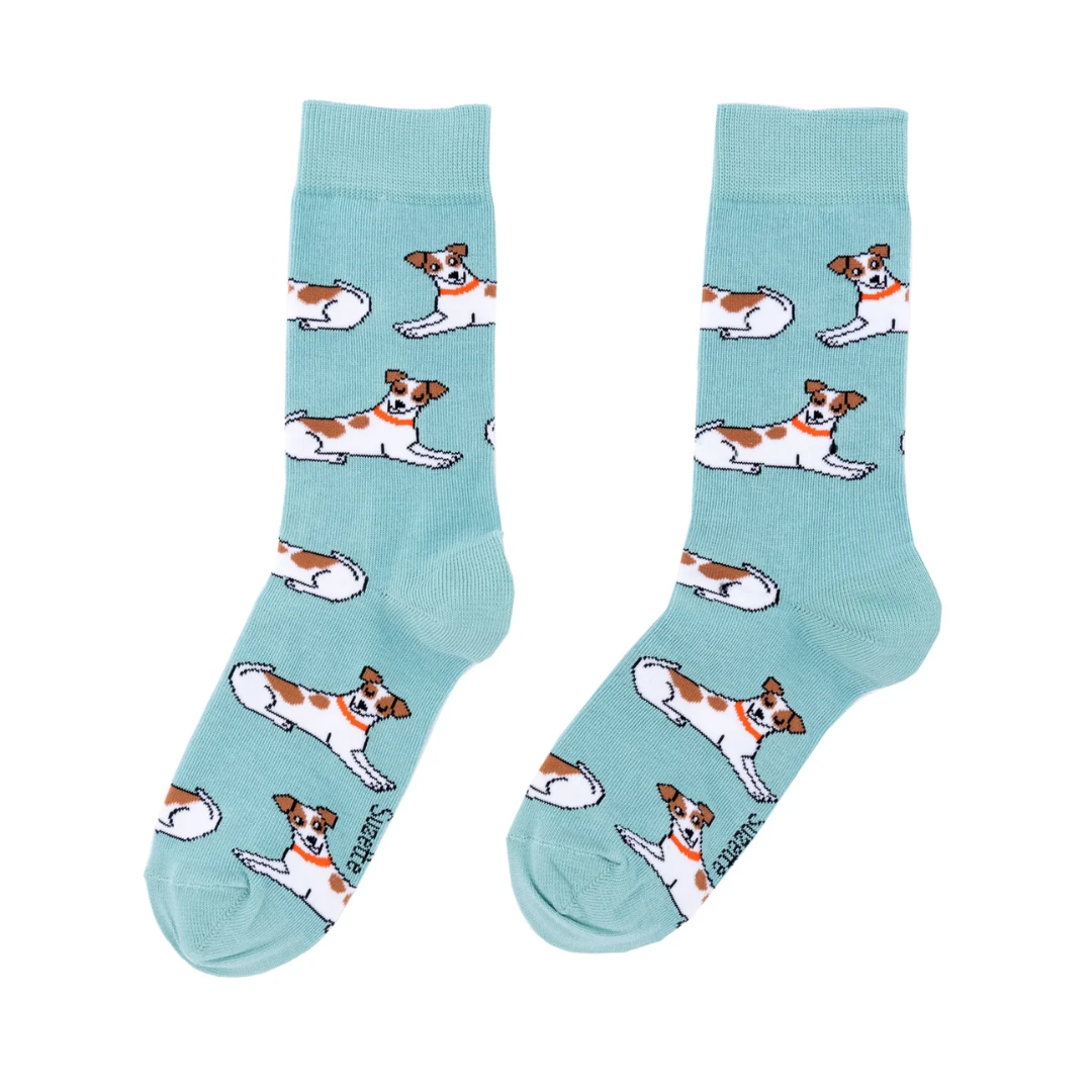 Coucou Suzette - Chaussettes Jack Russel