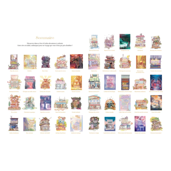 Larousse - Mes petites boutiques asiatiques - Kaevane