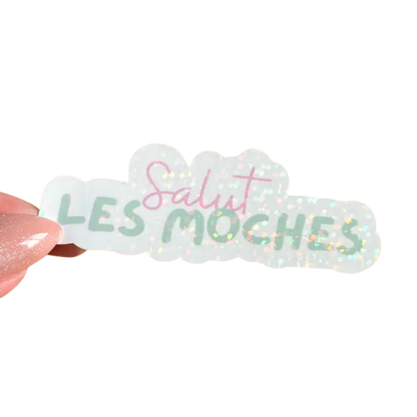 Sticker - salut les moches