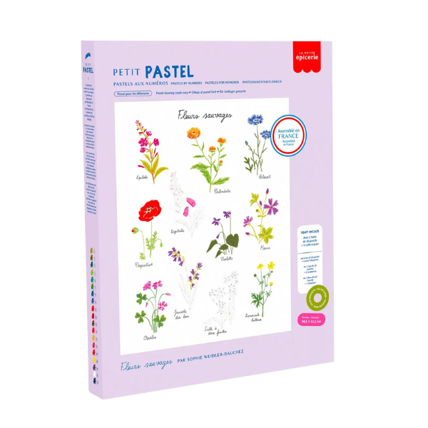 Pastel au numéro - Fleurs sauvages
