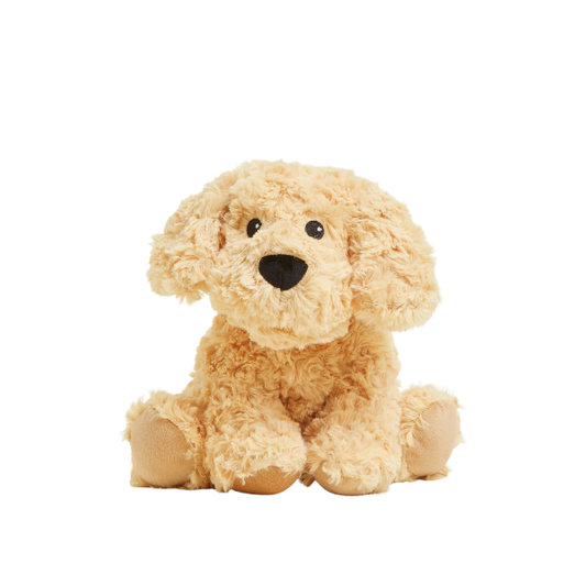 Bouillotte Peluche - Chien bouclé
