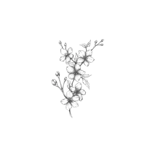 Sioou - Tatouages Éphémères - Fleur de cerisier