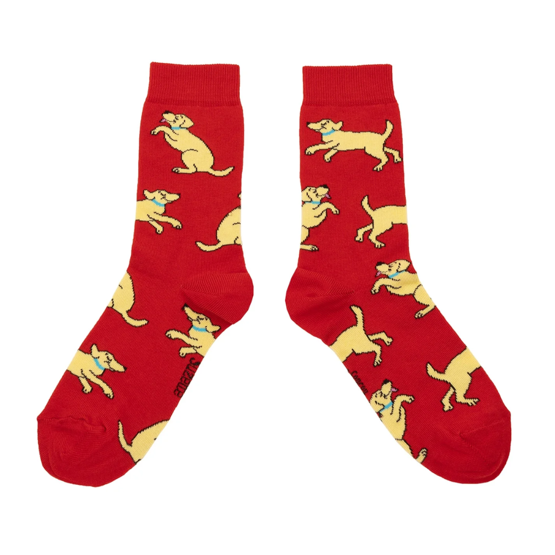 Chaussettes Golden Retriever - Coucou Suzette