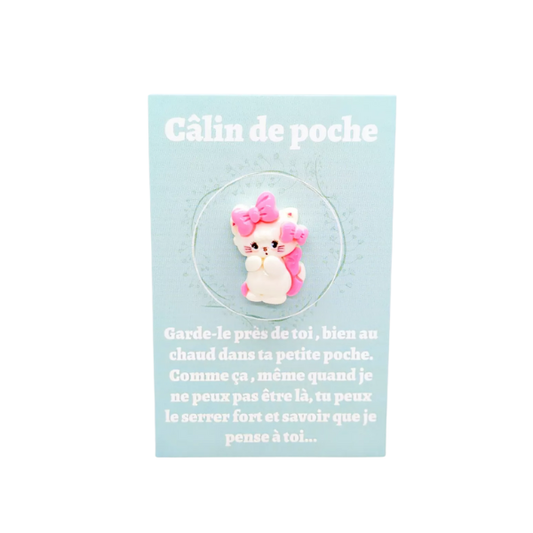 Câlin de Poche - Chat persan