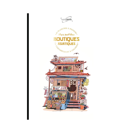 Larousse - Mes petites boutiques asiatiques - Kaevane