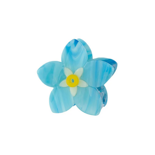 Coucou Suzette - Grosse pince - Myosotis