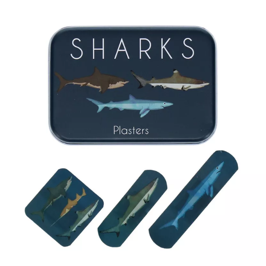 Pansements en boîte métallique - Requins