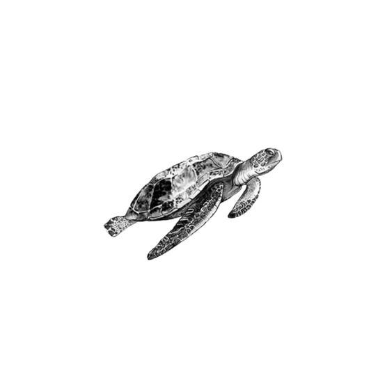 Sioou - Tatouages Éphémères - Tortue