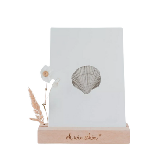 Carte aquarelle - Coquillage
