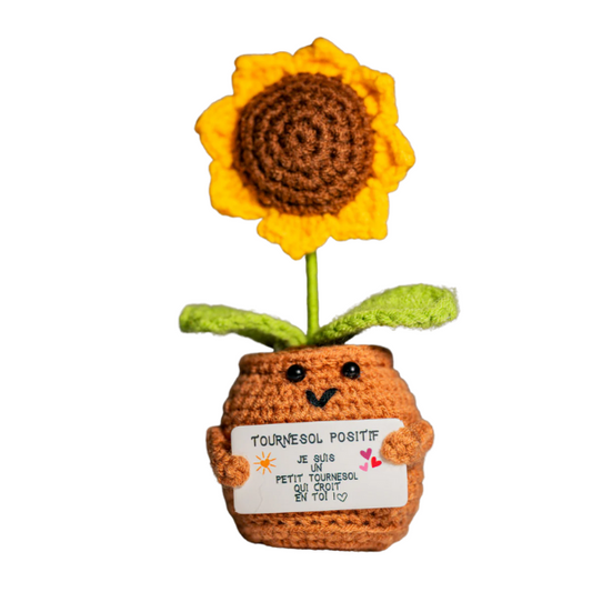 Patate Positive - Le tournesol