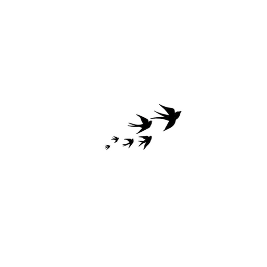 Sioou - Tatouages Éphémères - Envolée d'oiseaux
