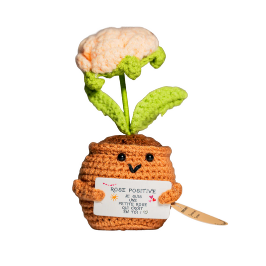 Patate Positive - La rose champagne