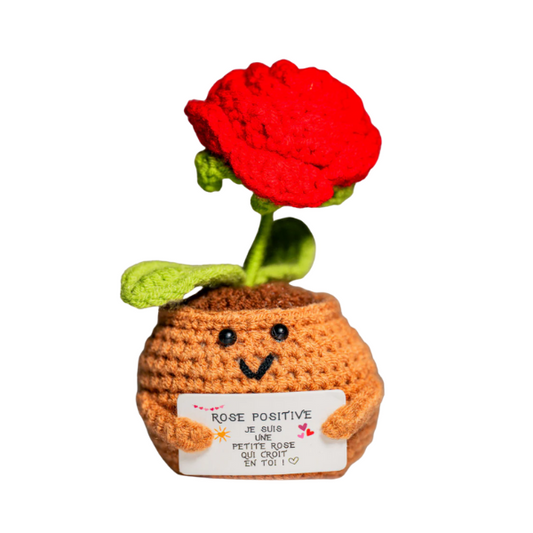 Patate Positive - La rose rouge